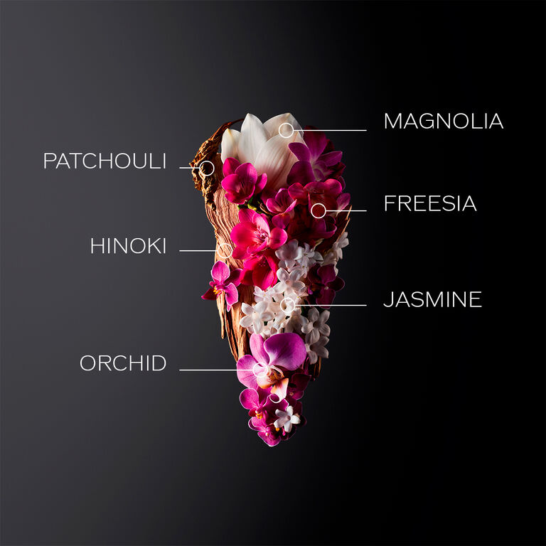 Ginza Eau De Parfum 50ml Holiday Kit, 