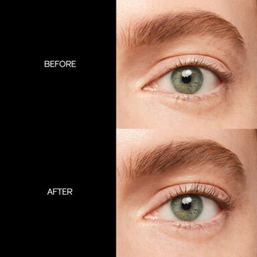 Shiseido Eyelash Curler | Award-Winning Lash Tool