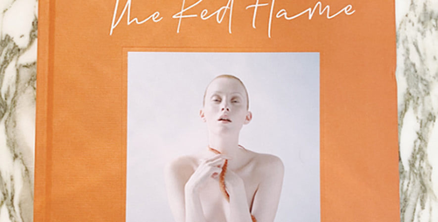 img-modal-karenelson