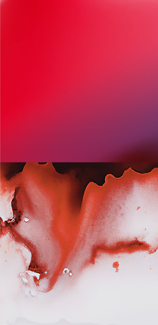 150 years of Shiseido