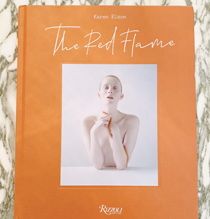 img-modal-karenelson
