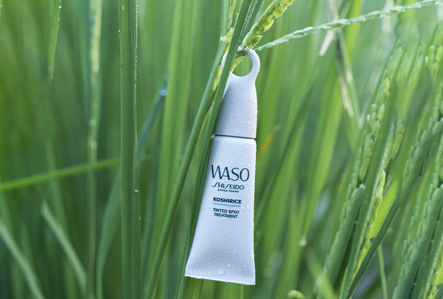 How to Get Rid of Blemishes Fast | Shiseido